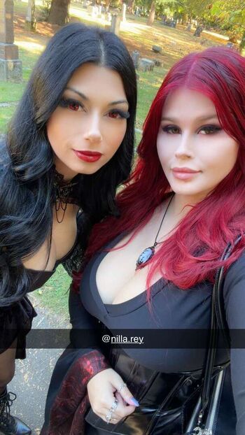 avasreddiary