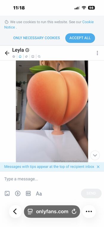 Full leaked Babyleyloo private onlyfans photo