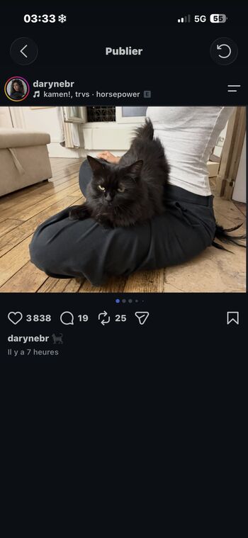 Full leaked Darynebr private onlyfans photo