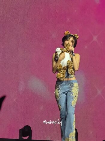 Full leaked Hwasa private onlyfans photo