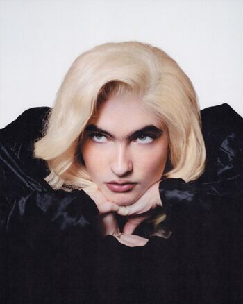 Ivy Wolk