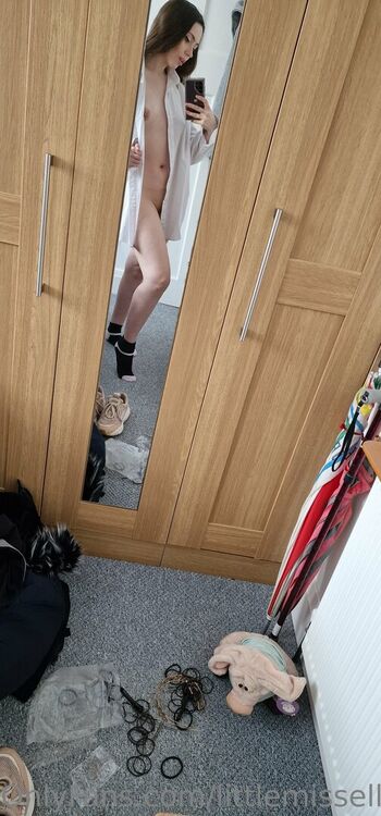Littlemissfox