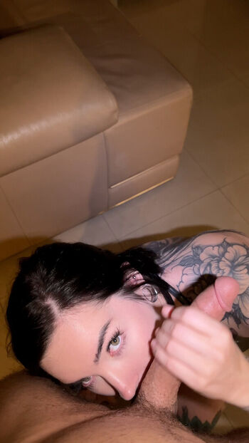 Mr Lucky POV