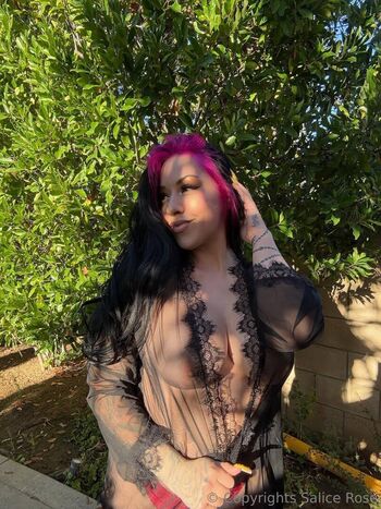Salicerose