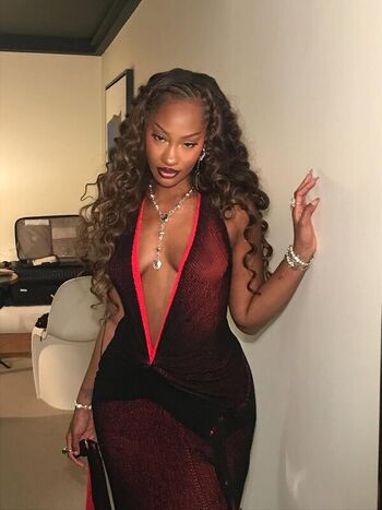 Full leaked Vixenp / private onlyfans photo