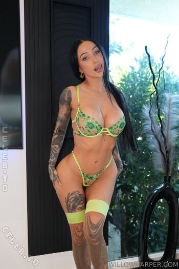 Full leaked Willow harper private onlyfans photo