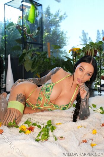 Full leaked Willow harper private onlyfans photo